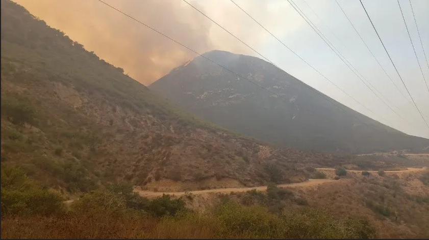 Dos mil hectáreas consumidas por incendio en Rosarito