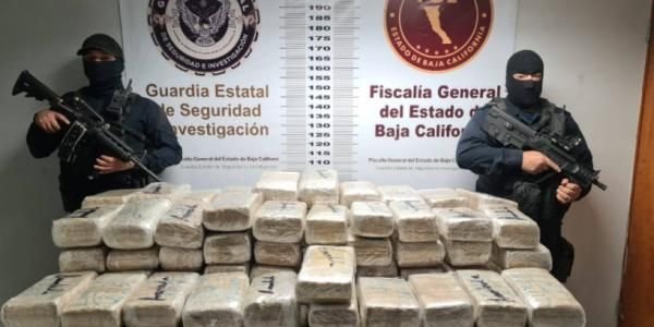 Decomisan más de 100 kilos de marihuana en Ensenada