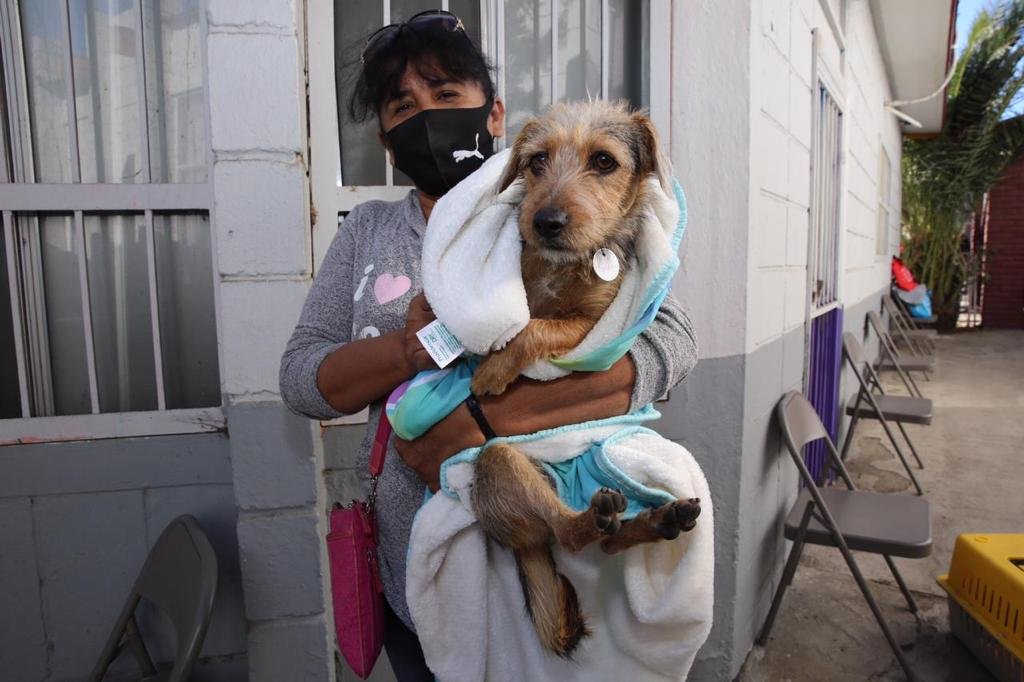 Más de 11 mil mascotas apoyadas con campaña de vacunación y esterilización