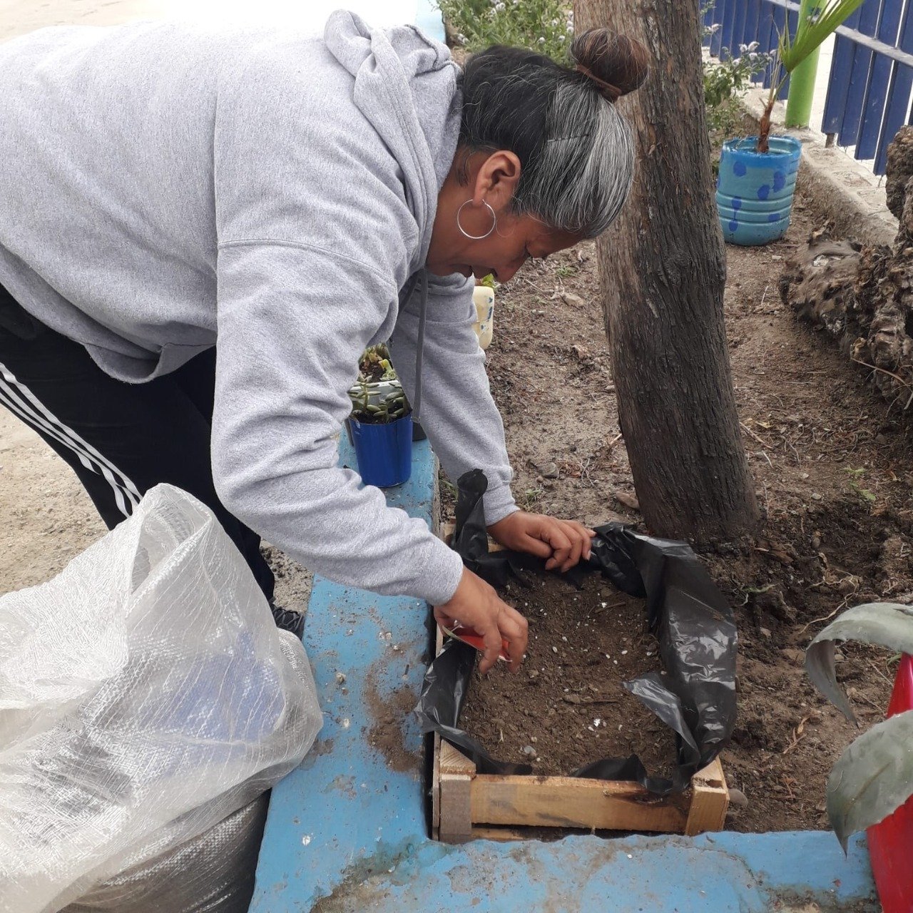 Promueven huertos familiares en preescolares y estancias infantiles del DIF