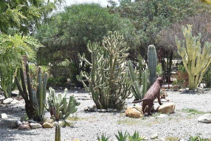 Aprueban impartir estudio de plantas nativas, así como creación y conservación de huertos escolares