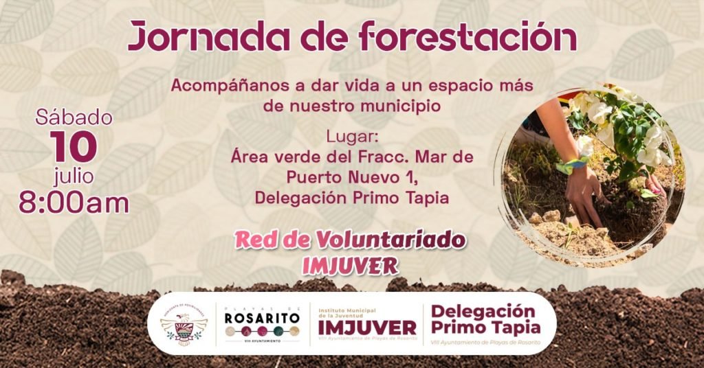Realizarán campaña de forestación en Rosarito
