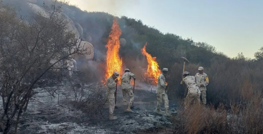 Sofocan un incendio forestal en Tecate