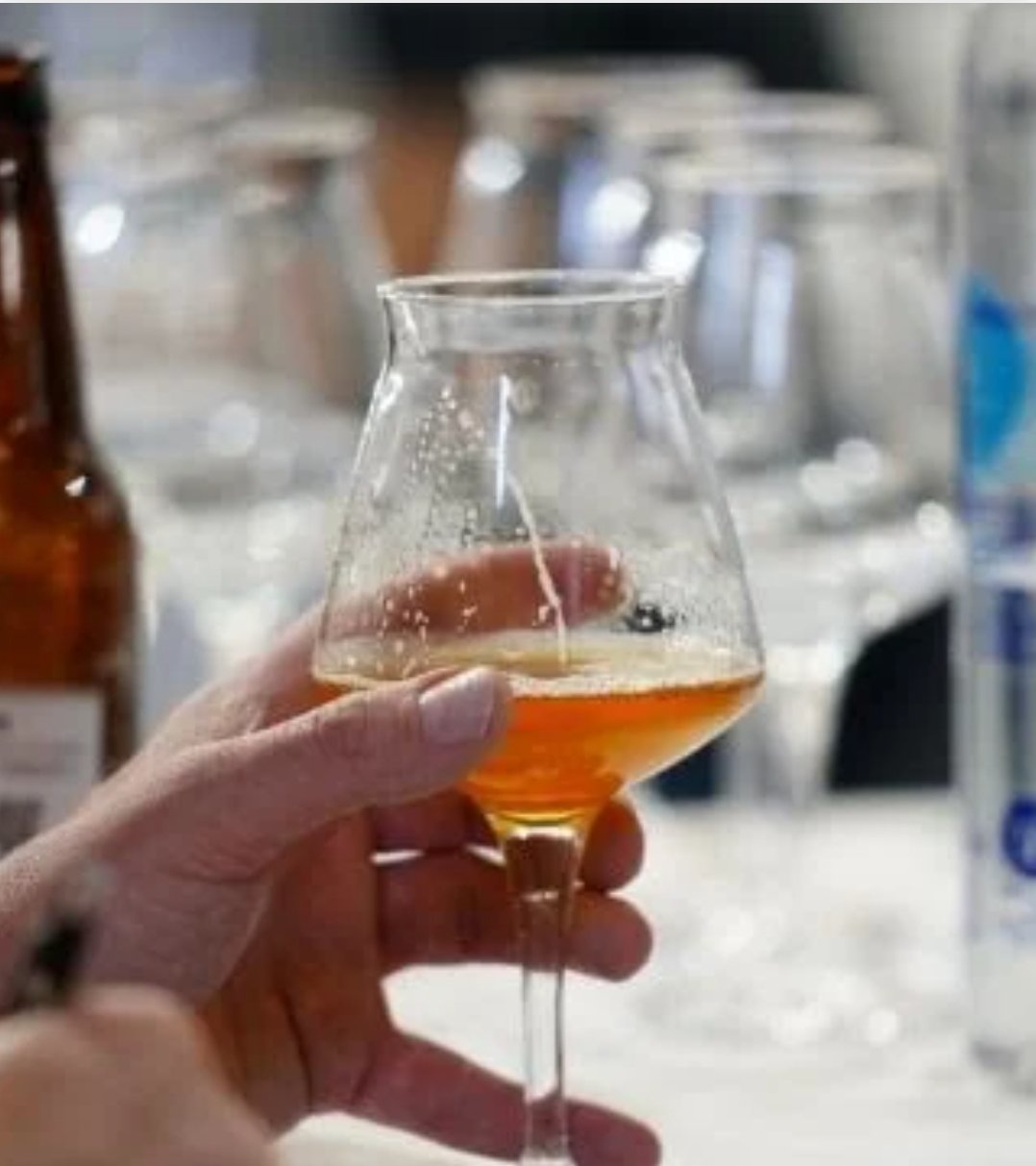 Detectan materia fecal en cerveza artesanal de BC