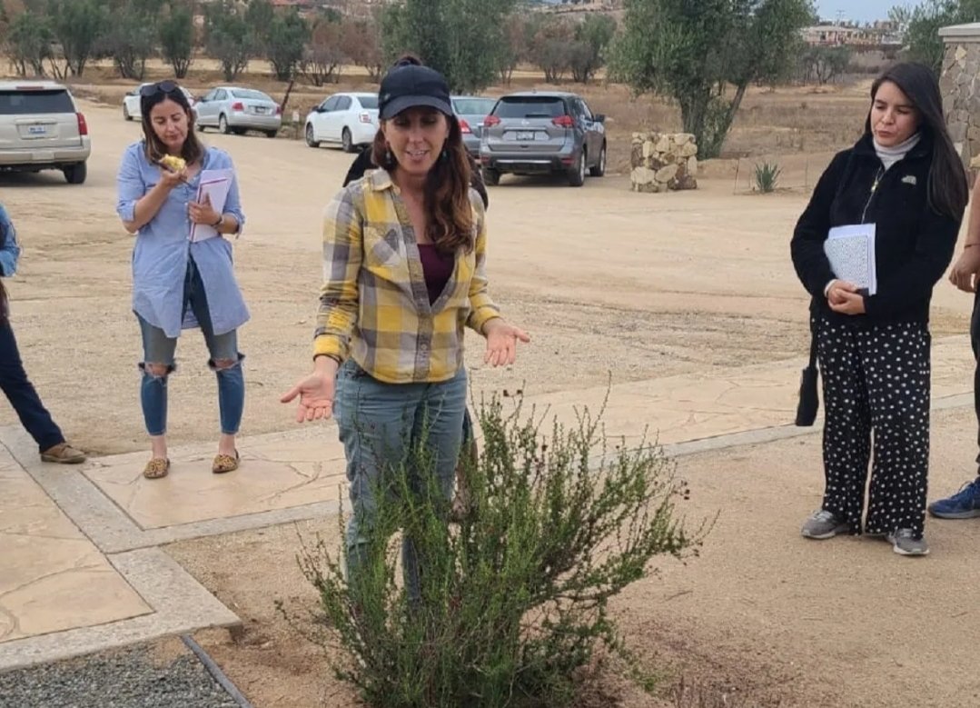 Preocupa deforestación en el Valle de Guadalupe