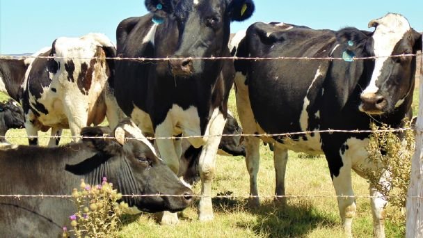 Capacitan a pequeños productores del Estado