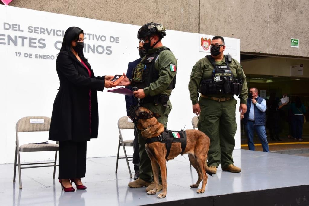 Agentes caninos reciben reconocimiento municipal