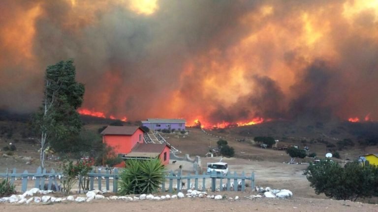 Se pide tomar acciones para evitar incendios por condición Santa Ana