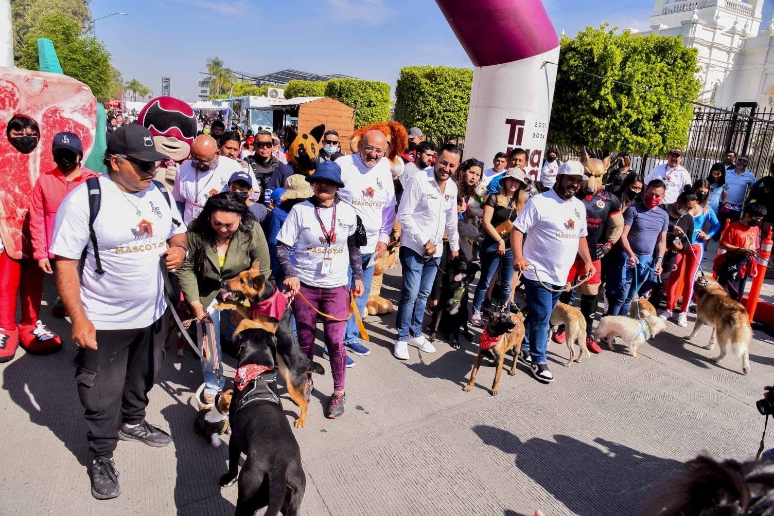 Todo listo para segunda feria de mascotas