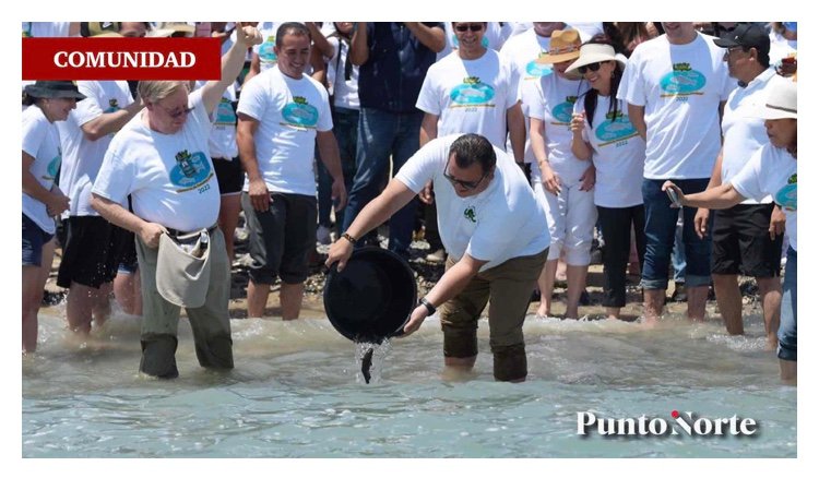 UABC libera 20 mil tortugas totoaba en San Felipe