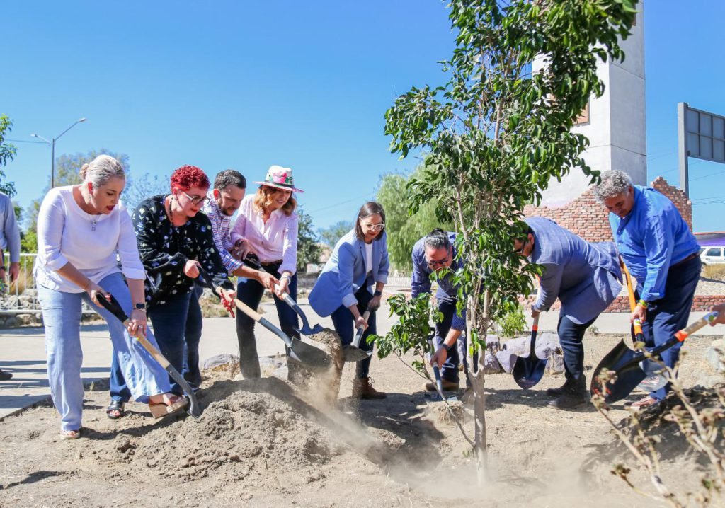 Una BC más verde: Plantarán 30 mil árboles en la entidad