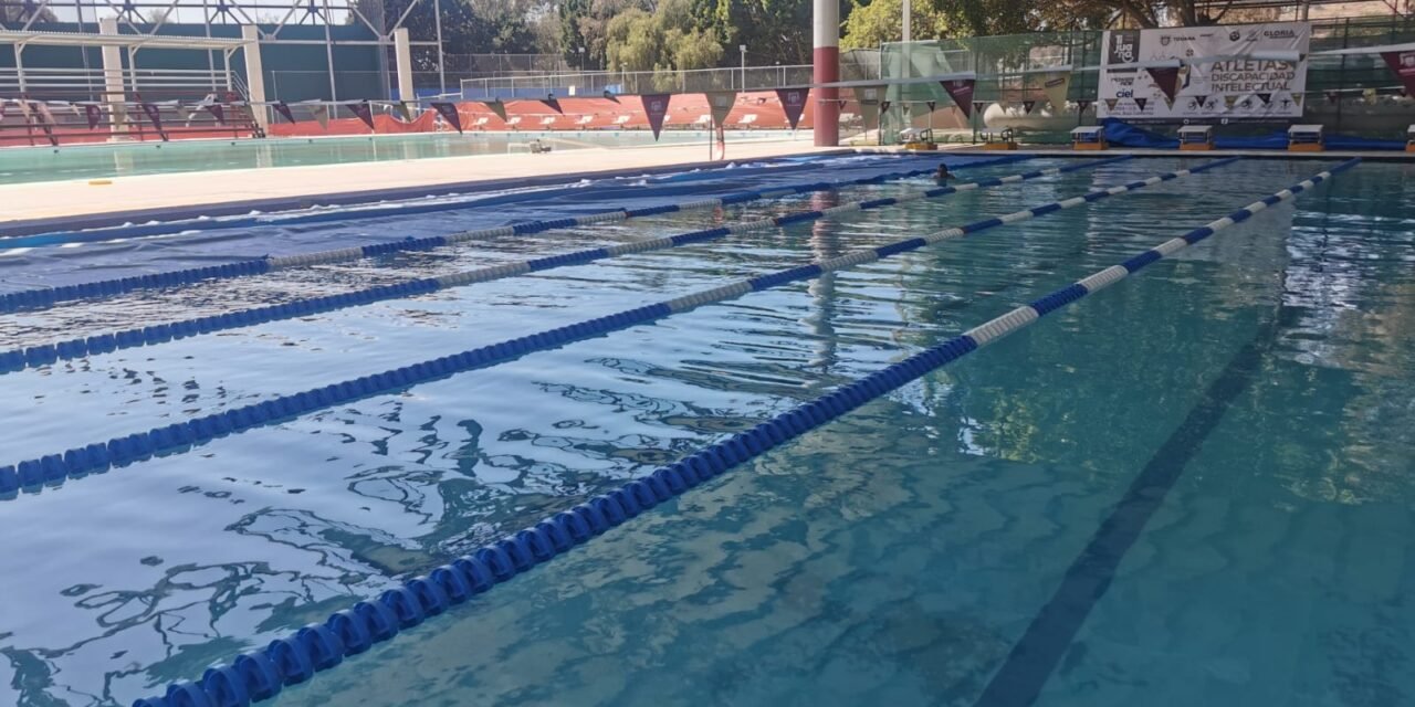 Que el fin de verano no te impida nadar: abren inscripciones para curso de natación