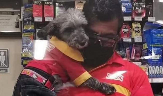 CAJERO DE OXXO LLEVA A SU PERRO AL TRABAJO Y HASTA LLEVA UNIFORME DE TRABAJO