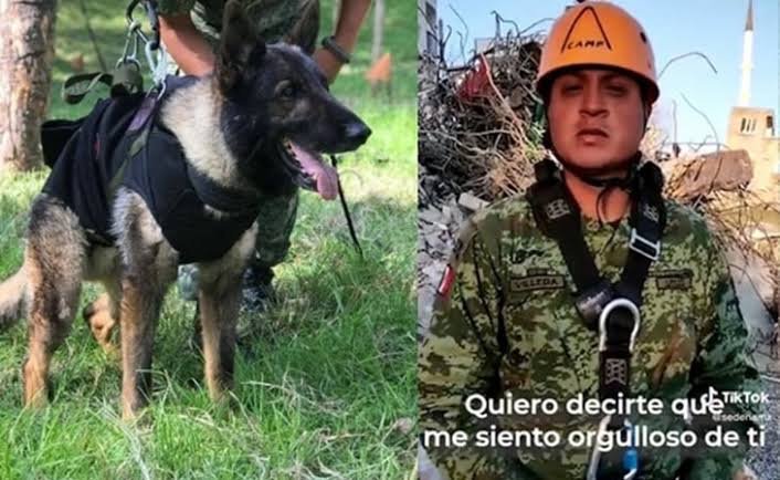 “NOS VOLVEREMOS A VER“: ASÍ SE DESPIDIÓ ENTRENADOR DE PROTEO, EL PERRITO RESCATISTA