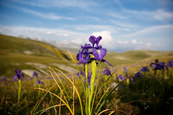 ¡Adiós al invierno!,  inicia la primavera