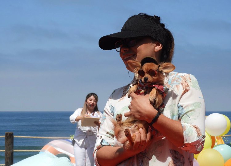 TIJUANENSES ADOPTAN 15 MASCOTAS DURANTE «PASARELA GUAU” EN PLAYAS DE TIJUANA