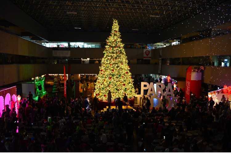 Colocan árbol navideño de más de 10 metros en palacio municipal