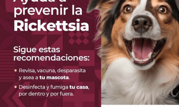 LLAMA SECRETARÍA DE SALUD DE BC A PREVENIR ENFERMEDADES POR GARRAPATA