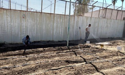 PROMUEVEN HUERTO ESCOLAR EN CENTRO DE INTERNAMIENTO PARA ADOLESCENTES