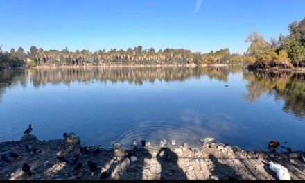 POR PERIODO DE OBSERVACIÓN DE AVES LIMITA SIMPATT ACCESO A ÁREA DEL LAGO EN PARQUE DE LA AMISTAD