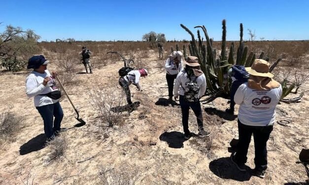 Madres buscadoras localizan con vida a desaparecido hace 15 años en Michoacán