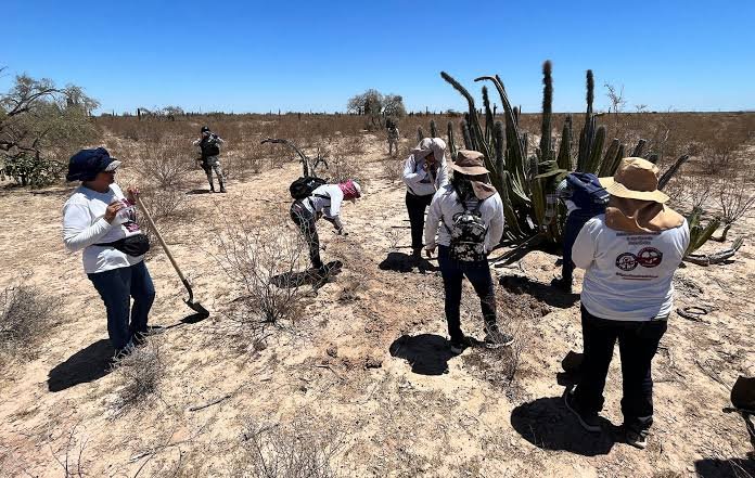 Madres buscadoras localizan con vida a desaparecido hace 15 años en Michoacán