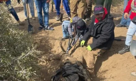 LOCALIZAN FOSA CLANDESTINA CON CUATRO CUERPOS EN LA RUMOROSA