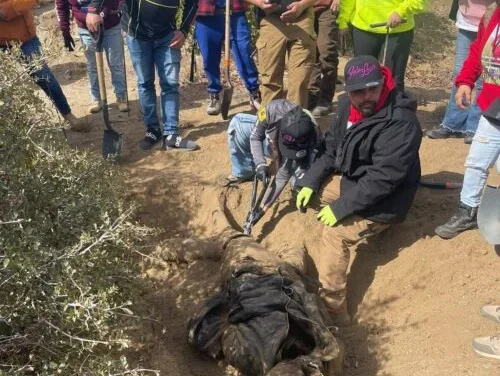 LOCALIZAN FOSA CLANDESTINA CON CUATRO CUERPOS EN LA RUMOROSA