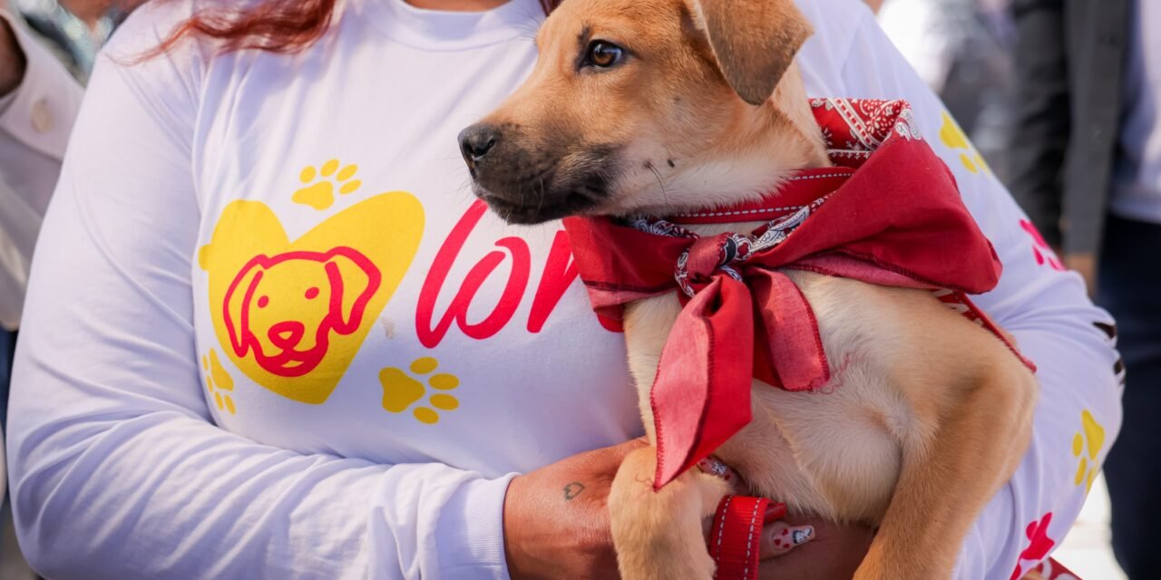 CELEBRAN PRIMER AÑO DEL SANTUARIO ANIMAL MILY, DANDO UNA NUEVA VIDA A PERROS Y GATOS