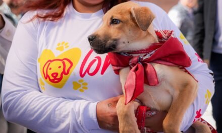 CELEBRAN PRIMER AÑO DEL SANTUARIO ANIMAL MILY, DANDO UNA NUEVA VIDA A PERROS Y GATOS