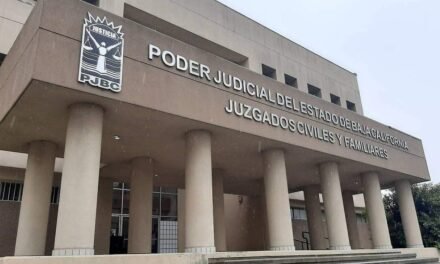 EN LAS BOLETAS PARA ELEGIR JUECES Y MAGISTRADOS ¿SERÁN AL TIN MARÍN?
