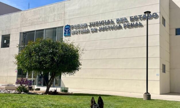 ACOMPAÑA TOÑITA A NIÑA VÍCTIMA DE VIOLENCIA EN JUZGADO FAMILIAR DE ENSENADA