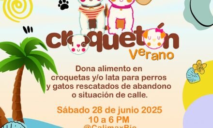 Por los lomitos: Llega la 25° edición del “Croquetón”