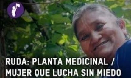 INVITAN AL CICLO DE CINE DEL DOCUMENTAL “RUDA: MUJERES INDÍGENAS ORGANIZADAS POR UNA VIDA LIBRE DE VIOLENCIA