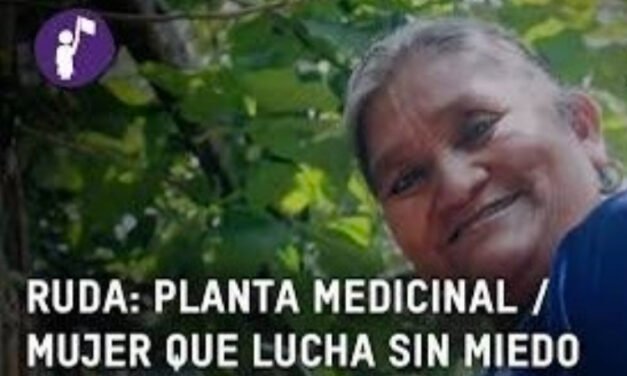 INVITAN AL CICLO DE CINE DEL DOCUMENTAL “RUDA: MUJERES INDÍGENAS ORGANIZADAS POR UNA VIDA LIBRE DE VIOLENCIA