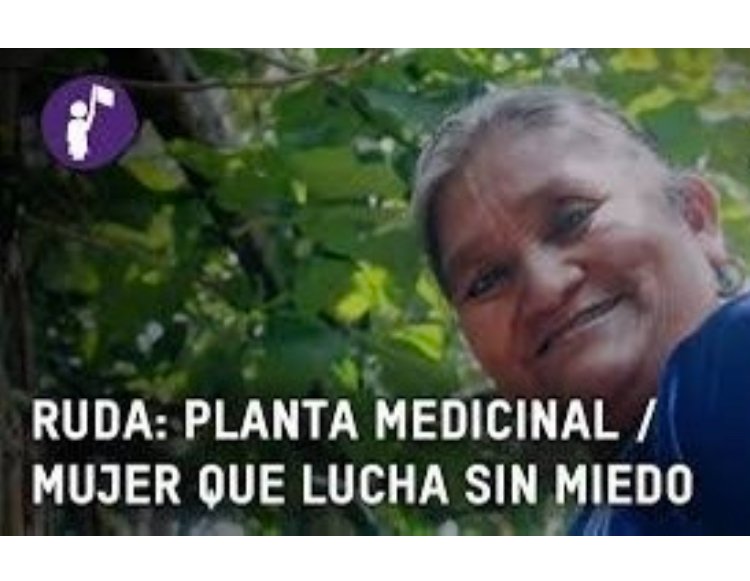 INVITAN AL CICLO DE CINE DEL DOCUMENTAL “RUDA: MUJERES INDÍGENAS ORGANIZADAS POR UNA VIDA LIBRE DE VIOLENCIA