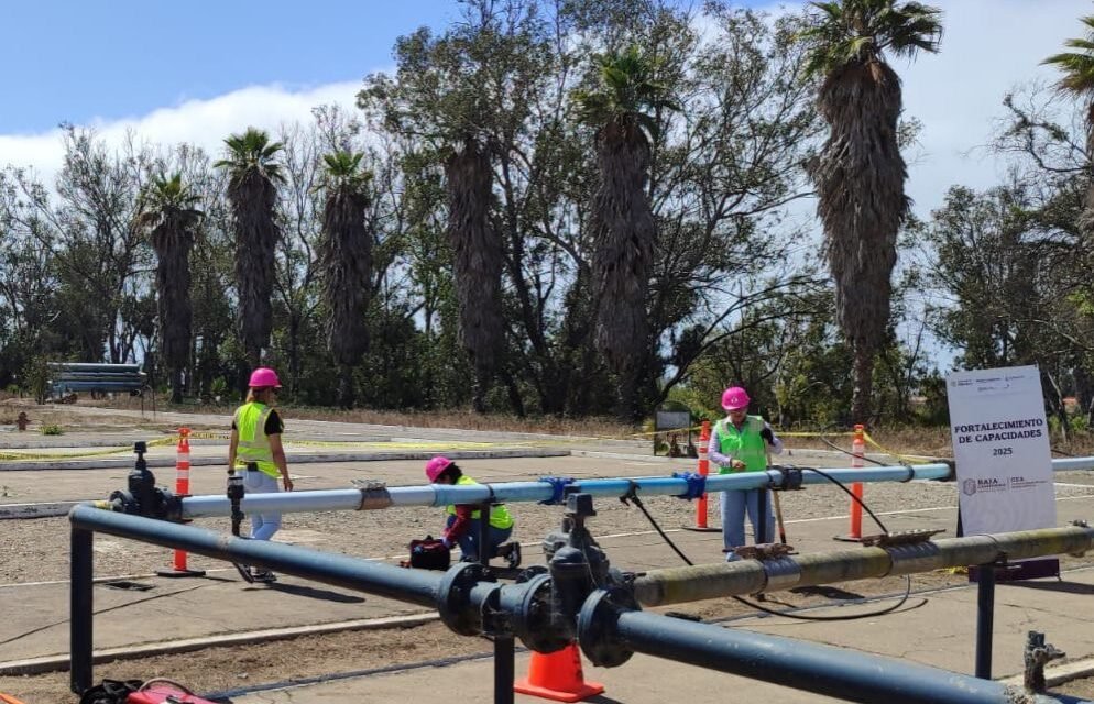 PRIMERA GENERACIÓN «CASCOS ROSAS» EN BC