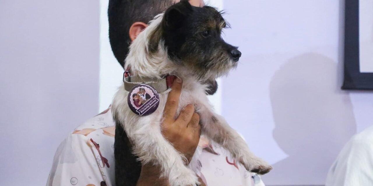 TOMAN PROTESTA A RED DE PERSONAS EMBAJADORAS POR EL BIENESTAR ANIMAL