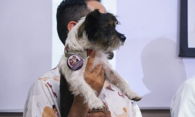 TOMAN PROTESTA A RED DE PERSONAS EMBAJADORAS POR EL BIENESTAR ANIMAL