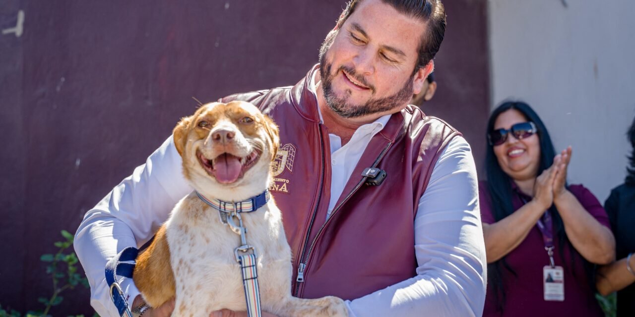 Impulsan rehabilitación del Centro de Control Animal de Tijuana