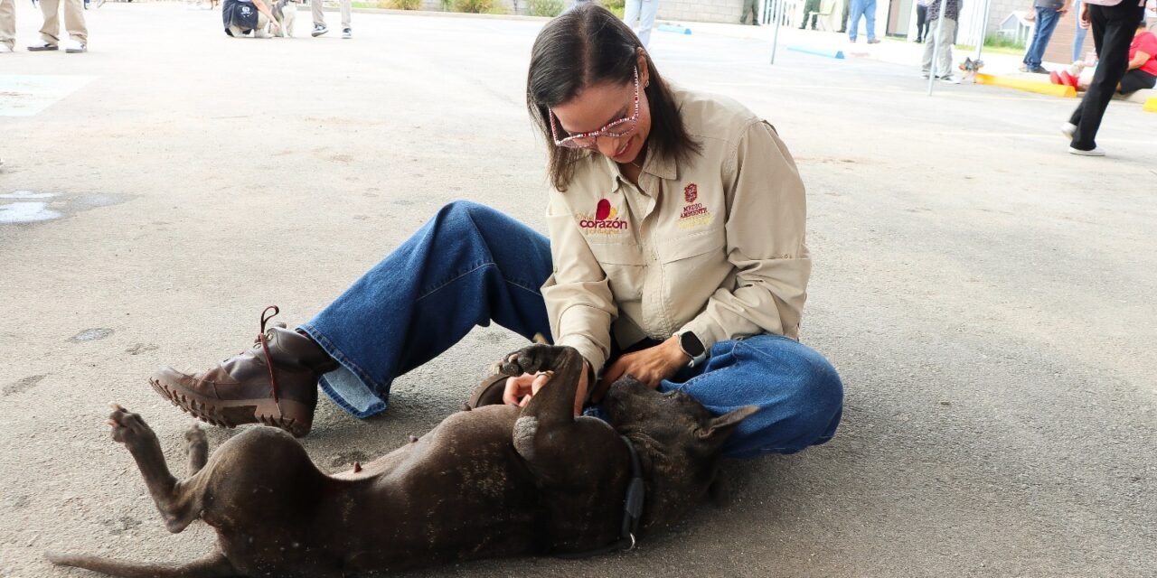 JUVENTUDES ACUDEN A SANTUARIO ANIMAL MILY PARA VIVIR JORNADA DE VOLUNTARIADO