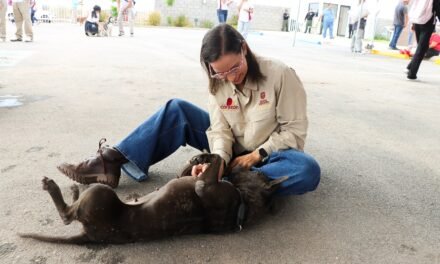 JUVENTUDES ACUDEN A SANTUARIO ANIMAL MILY PARA VIVIR JORNADA DE VOLUNTARIADO