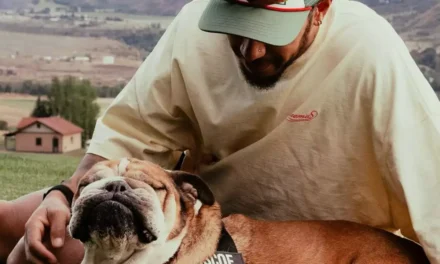 ROSCOE, EL PERRITO DE LEWIS HAMILTON, MURIÓ TRAS DÍAS HOSPITALIZADO
