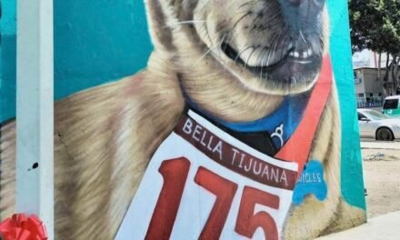 “Chicles”, el perro corredor tijuanense, falleció víctima de envenenamiento