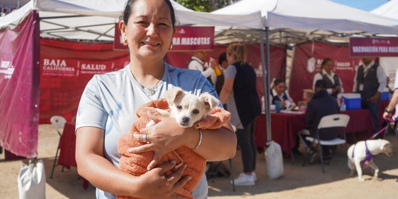 VAN MÁS DE 18 MIL ESTERILIZACIONES CANINAS  Y FELINAS EN BAJA CALIFORNIA