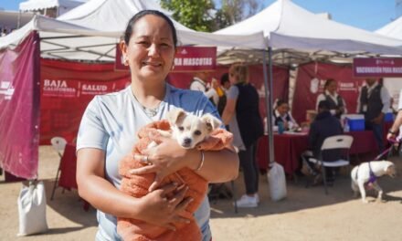 VAN MÁS DE 18 MIL ESTERILIZACIONES CANINAS  Y FELINAS EN BAJA CALIFORNIA