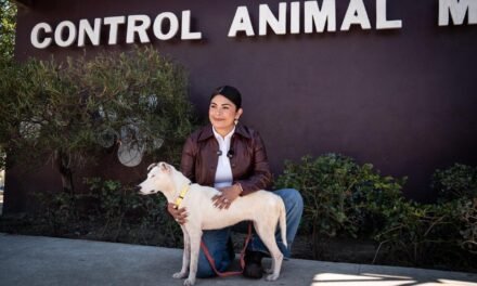 Promueve Gobierno Municipal de Tijuana el rescate y la adopción de mascotas