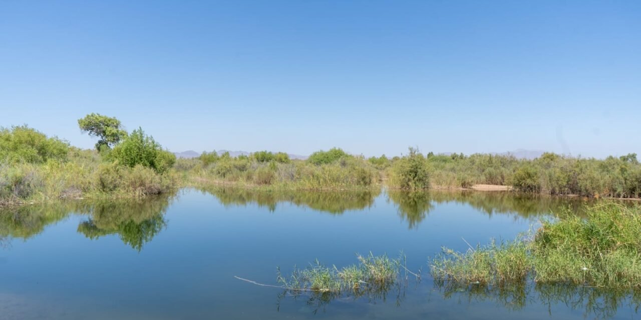BAJA CALIFORNIA MANTIENE MÁS DE 35 AÑOS LIBRE DE TRANSMISIÓN LOCAL DE PALUDISMO