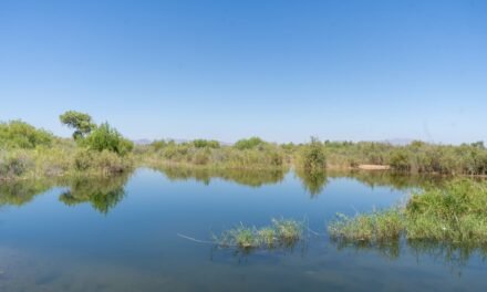 BAJA CALIFORNIA MANTIENE MÁS DE 35 AÑOS LIBRE DE TRANSMISIÓN LOCAL DE PALUDISMO