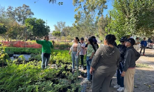Promueve Tijuana talleres de Huertos y Jardines Polinizadores